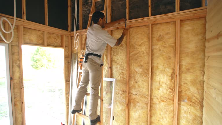  Berkeley, IL Insulation Installation & Removal Pros